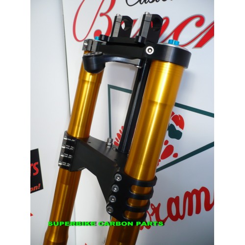 AVANTRENO SPECIALE CON FORCELLE OHLINS PER HARLEY DAVIDSON XR 1200