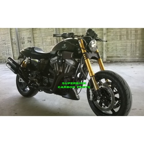 AVANTRENO SPECIALE CON FORCELLE OHLINS PER HARLEY DAVIDSON XR 1200