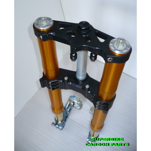 APRILIA RSV 4, RSV 1000 E TUONO - FORCELLE OHLINS NIX 30 