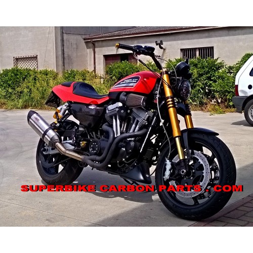 HARLEY DAVIDSON XR 1200 - AVANTRENI PROTOTIPI FORCELLE OHLINS NIX 2015