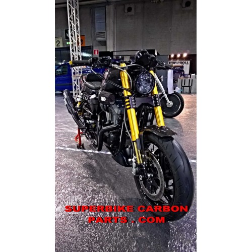 HARLEY DAVIDSON XR 1200 - AVANTRENI PROTOTIPI FORCELLE OHLINS NIX 2015